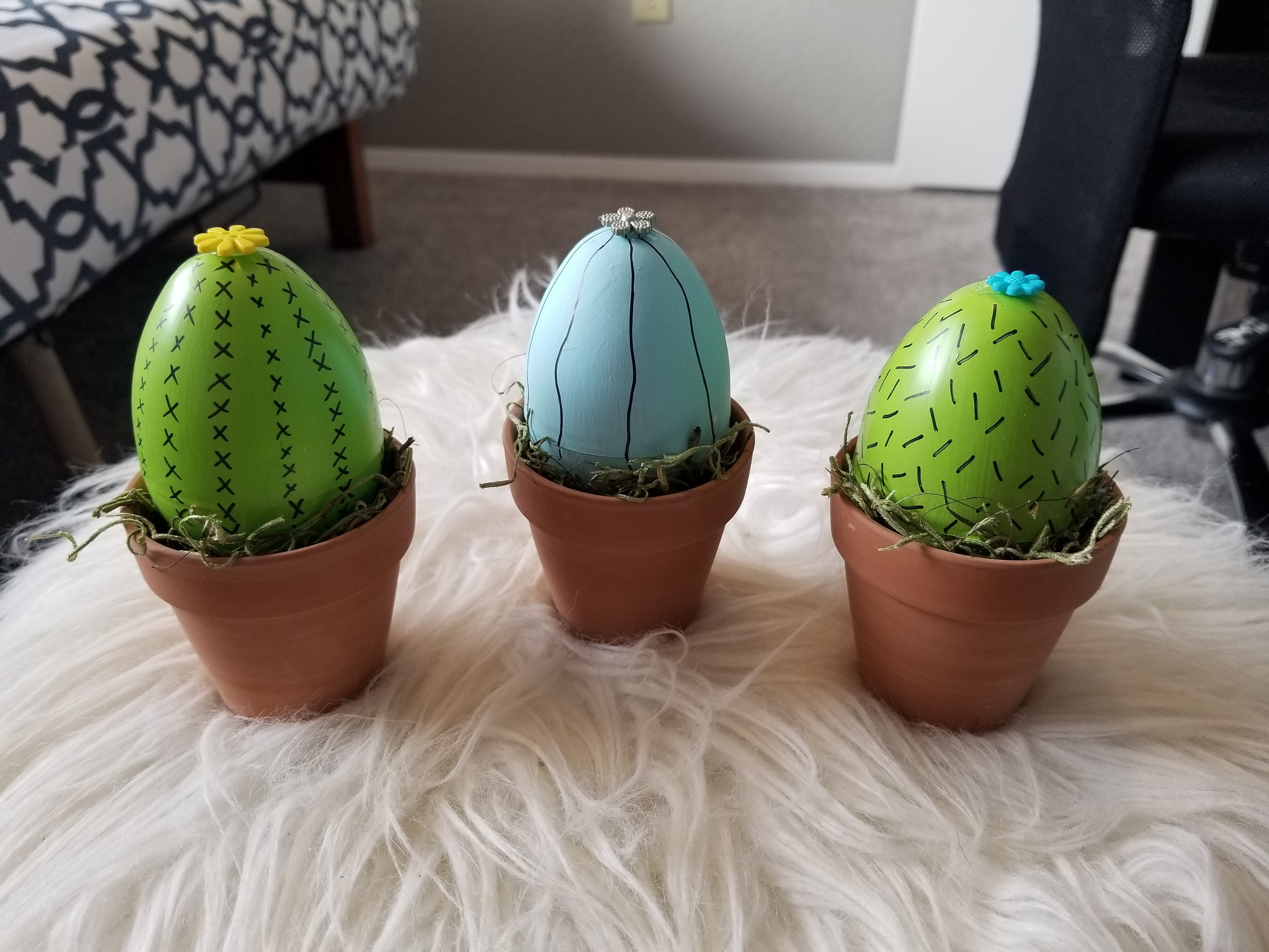 Egg Cactus - Etsy