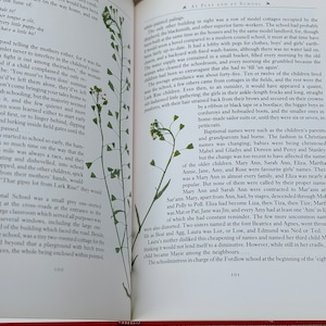 The Illustrated Lark Rise to Candleford / Flora Thompson - Author / Vintage Cottagecore Book