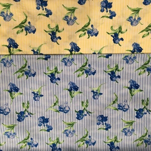 Bärtige blaue Iris in Blüte auf blauem oder gelbem Nadelstreifen-Hintergrund Wilde Iris Ro Gregg Northcott Suche nach einem Heilmittel-Stoff
