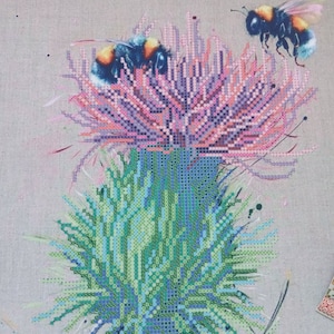 Puede incluir: Primer plano de una flor de cardo púrpura y rosa con dos abejorros. El cardo está rodeado de hojas verdes y tiene una apariencia texturizada y espinosa.