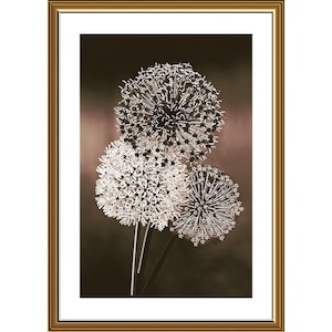 May include: A framed art print featuring three stylized dandelion seed heads in shades of white and black. The artwork has a sepia-toned background and is encased in a gold-colored frame, creating a sophisticated and elegant aesthetic.