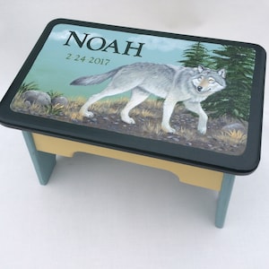 Custom Hand Painted Step Stool