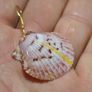 Puede incluir: Un colgante de concha con una fianza dorada. La concha es de color rosa claro con marcas marrones y amarillas. El colgante se sostiene en la mano de una persona.