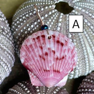 Scallop Pendant