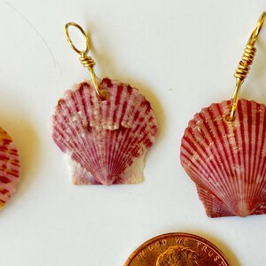 Pode incluir: Uma coleção de quatro pingentes de concha de vieira, cada um com um padrão único de listras rosa e brancas. As conchas estão presas a alças de arame de metal, com um arame prateado e três dourados. Uma moeda de cobre é visível para escala.