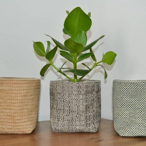 May include: Three woven plant pots, one with a green plant, one in beige, and one in green and white.
