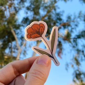 Wildflower Sticker, Water Bottle Sticker for Hydroflask, California Poppy, Filler Sticker, Hiking Sticker, Hiking Gift, Outdoorsy Gift