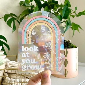 Sun Catcher Sticker for Window, Rainbow Sticker, Rainbow Maker Window, Plant Lover Gift, Uplifting Gifts For Women, Look At You Grow, Best