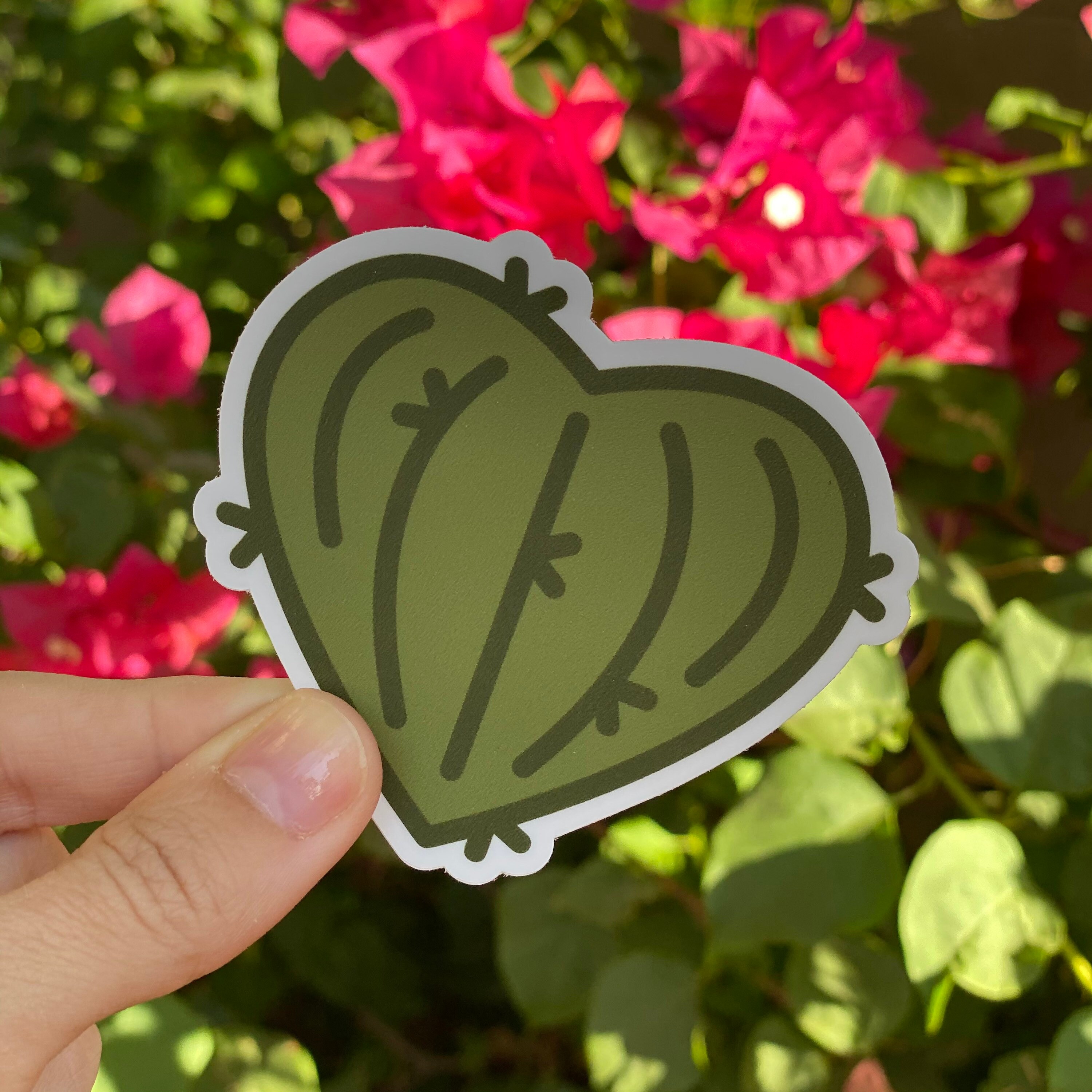 Cactus Sticker for Car Cactus Heart Notebook Stickers Etsy UK