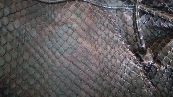 Impressive DONNA ELISSA Natural Python Leather Ba… - image 10
