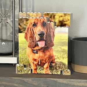 Pet Lover Personalized Brick Photograph - Brick Puzzles - Custom Pet Portrait