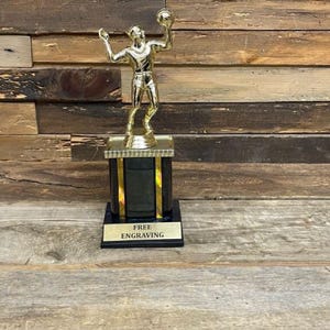 Volleyball Male Trophy | Sports Achievement Award | Game Night Award | Personalized Male Player Award | Male Athlete Achievement Award