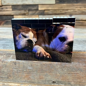 Pet Lover Personalized Brick Photograph - Brick Puzzles - Custom Pet Picture