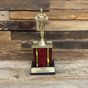 Achievement Award Trophy | Winner’s Celebration Trophy | Office Recognition | Employee Appreciation Gift | Sports or Corporate Recognition