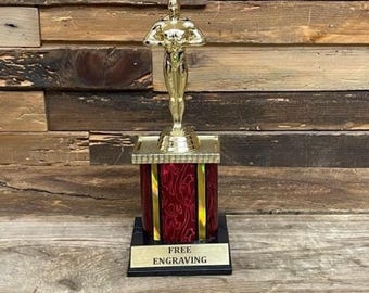 Achievement Award-trofee (10 inch)