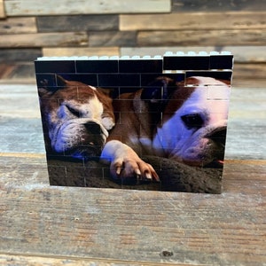 Pet Lover Personalized Brick Photograph - Brick Puzzles - Custom Pet Picture