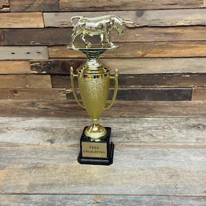 Bull Trophy Award - 13 Inch Gag Gift