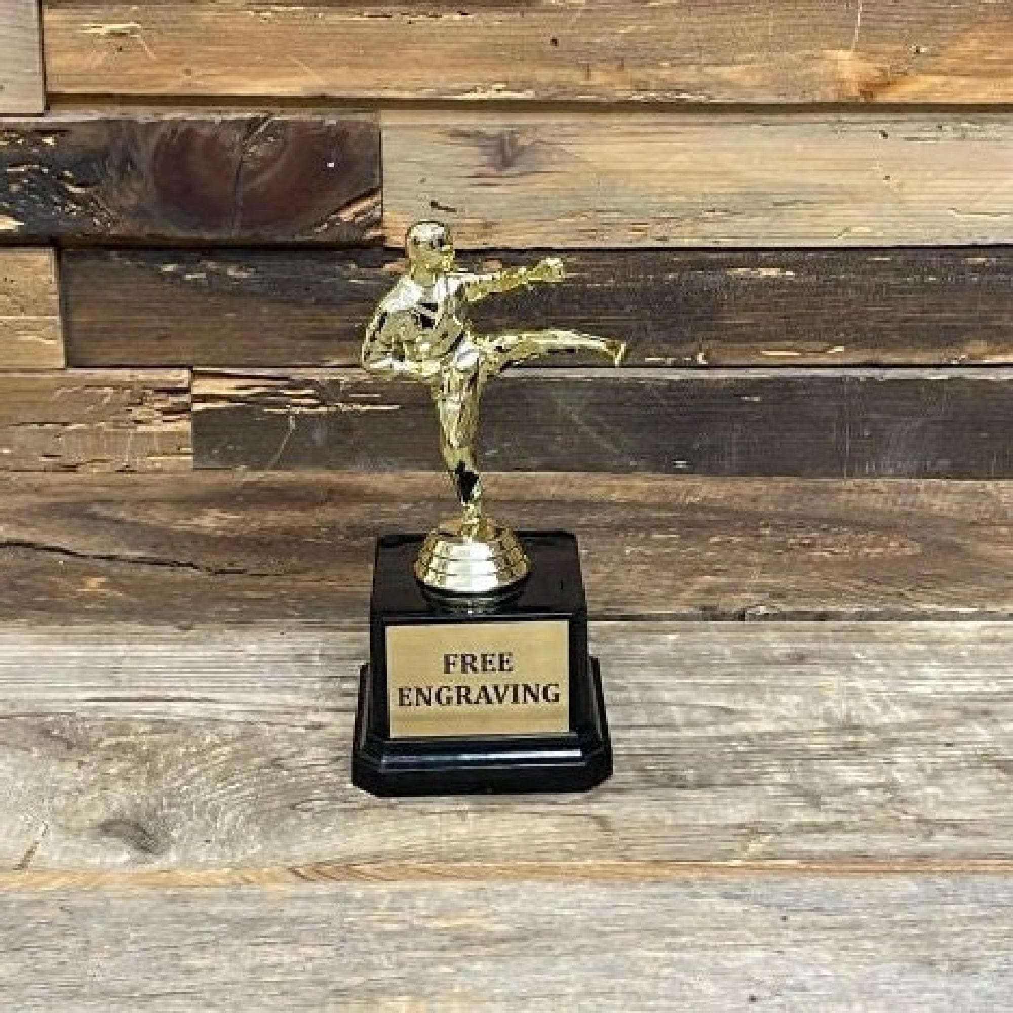 Male Karate Trophy | Taekwondo Trophy | MMA Trophy | Kick Boxing Trophy | Karate, Taekwondo, MMA & Kickboxing Recognition | Male Champ Award
