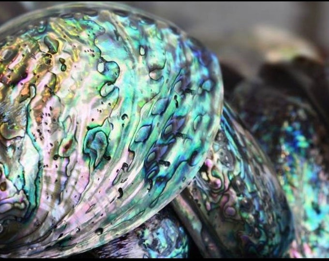 Featured listing image: Abalone Shell + Sage