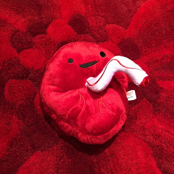 placenta plush