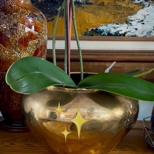 May include: A gold-coloured planter with a rounded shape, holding a green-leafed plant and a flowering orchid. The planter has a decorative starburst design. A decorative vase is visible in the background.