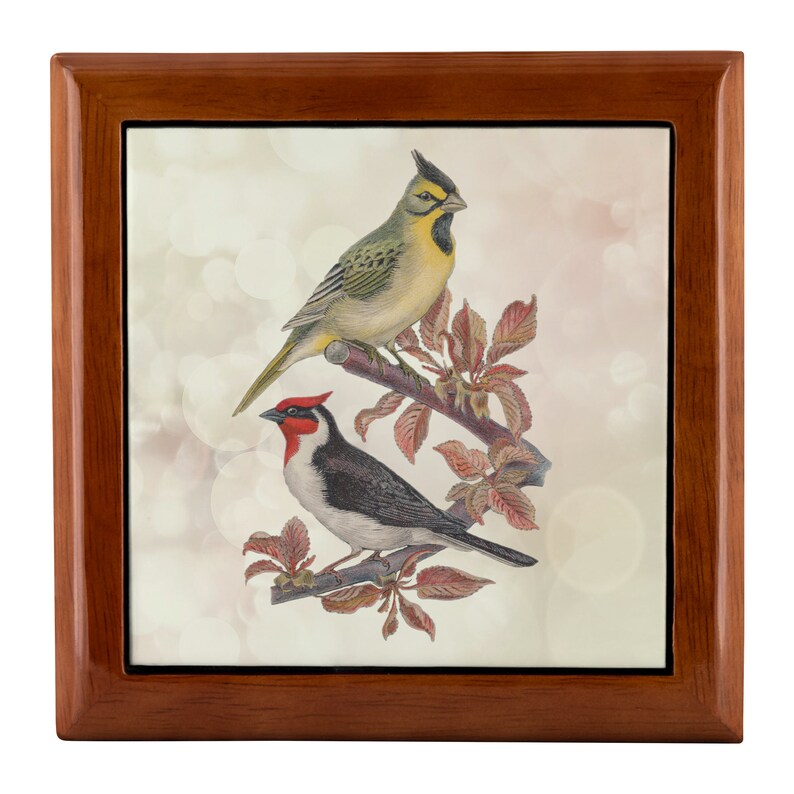 Jewelry Box Gift Idea For Bird Lovers
