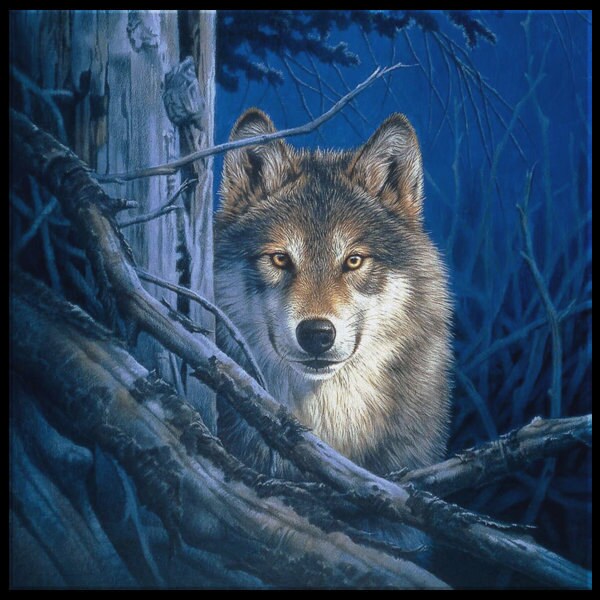 Wolf Wall Art Canvas Framed Wolf Art Etsy