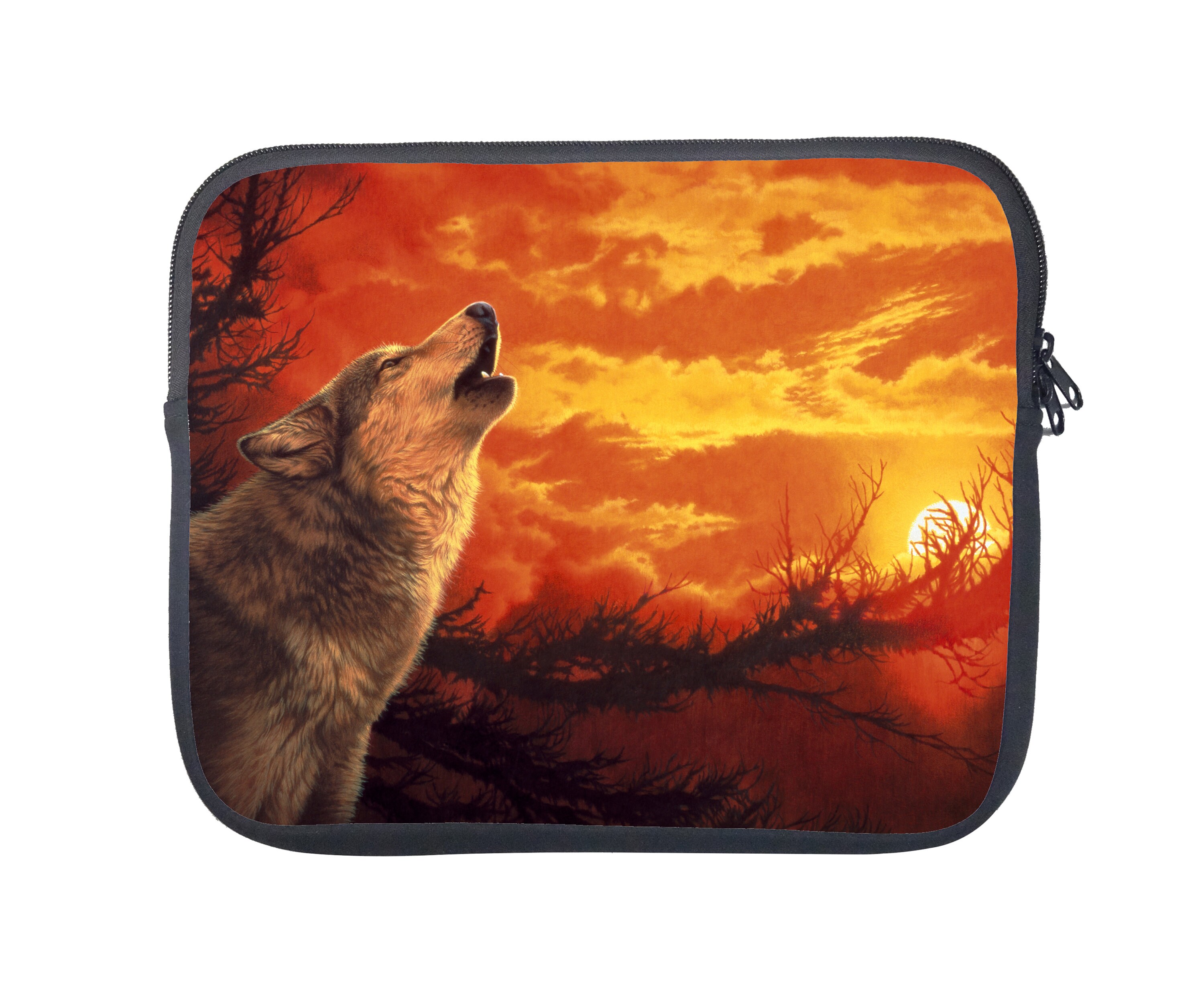 10 inch laptop case