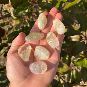Citrine Tumbled Stones - Citrine Polished Gemstone - Heat Treated - Healing Bulk Crystal - Wholesale Crystal - Quartz-1 LB Citrine - Healing