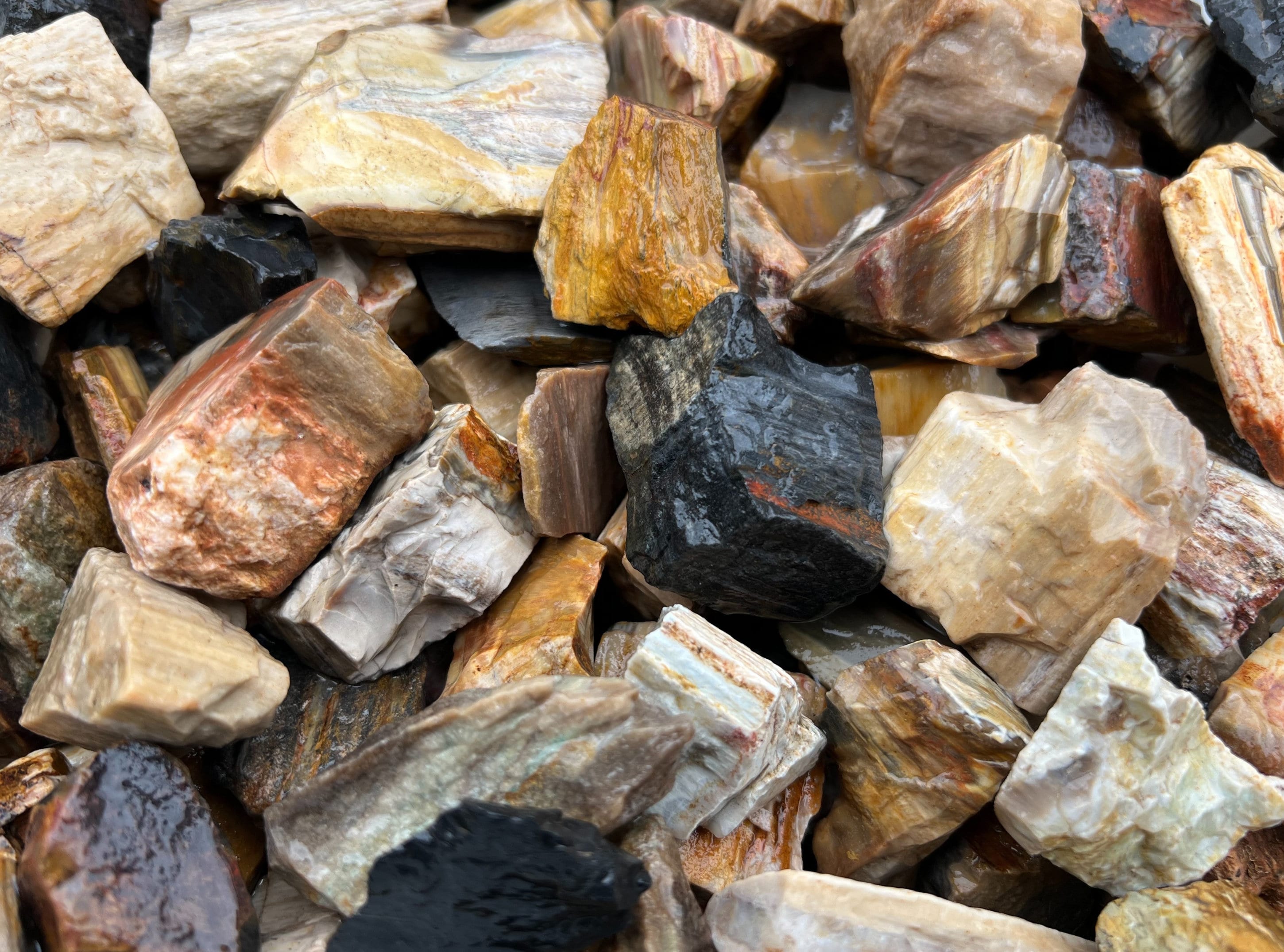 Wood Poit Rocks Petrified Wood-rough Fossils for Tumbling-raw-bulk Wholesale Rough ...