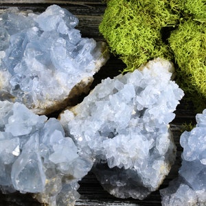 Celestite Crystal Cluster | Raw Blue Celestite Geode | Celestite Raw Crystals | Bulk Crystals | Wholesale Crystals | Healing Crystals Geode