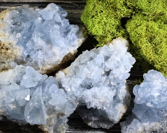 Celestite Crystal Cluster | Raw Blue Celestite Geode | Celestite Raw Crystals | Bulk Crystals | Wholesale Crystals | Healing Crystals Geode
