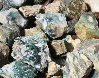 Tree Agate I Large Rough Rocks for Tumbling I Size: 2" - 3" I 1 LB Bulk Raw Crystal I Wholesale Healing Crystals I Lapidary Supply