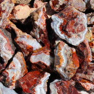 May include: A collection of raw, uncut gemstones in shades of red, orange, white, and brown. The stones have a rough, natural texture and varying sizes. Some stones have visible crystalline formations and banding patterns.