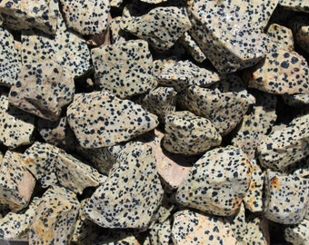Dalmatian Jasper,  Rough Dalmatian Jasper, Dalmatian Stone, Bulk Crystals, Wholesale Crystals, Rough Rocks, Healing Crystals, Lapidary - 1LB