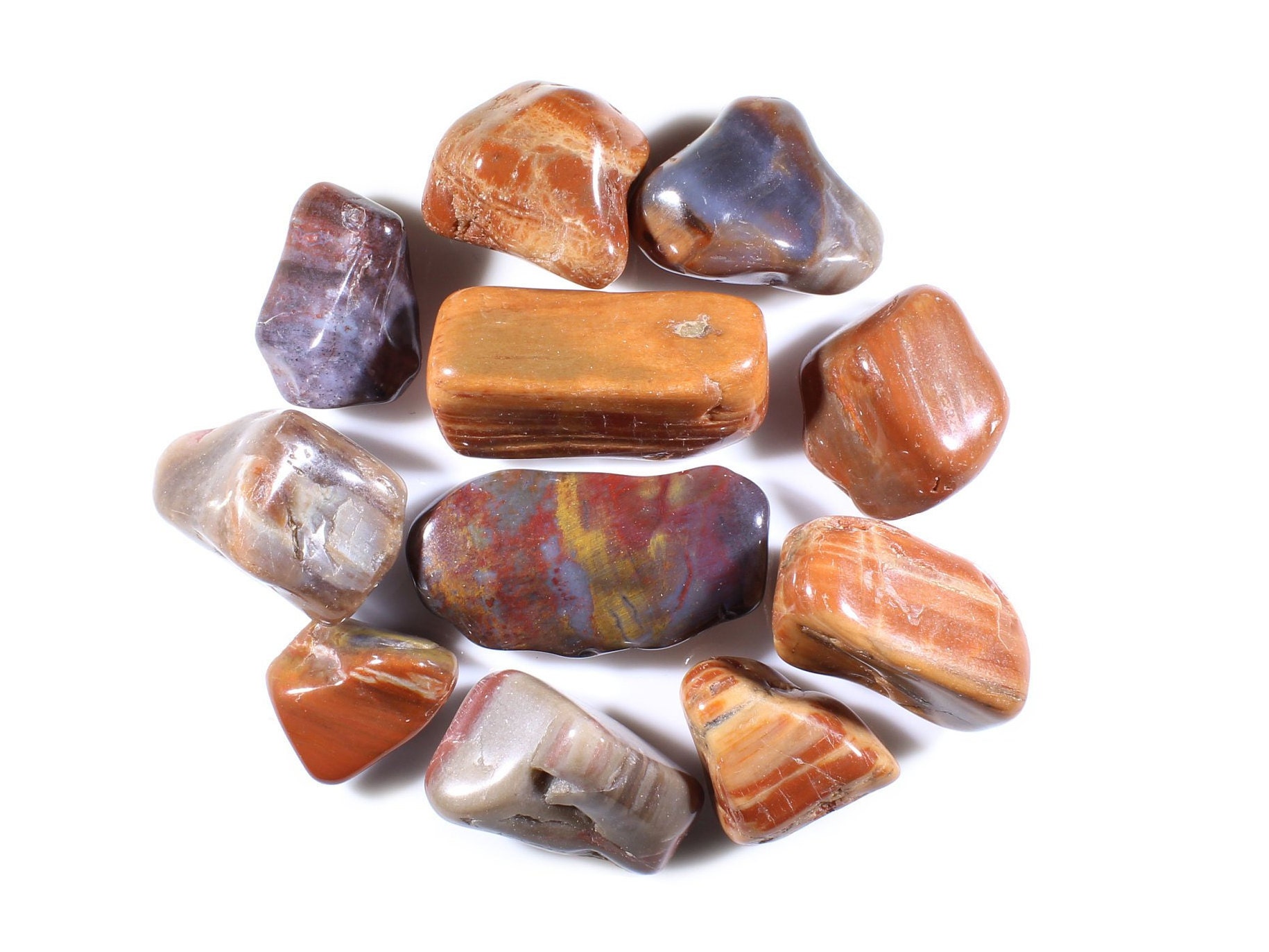 Petrified Wood | Tumbled Gemstones from Arizona | Polished and Tumbled Gemstones-Wholesale Bulk Crystals-Healing Crystals-Natural Stones