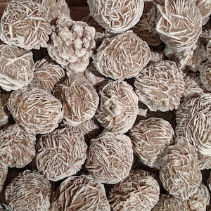 May include: A close-up of a group of rose quartz crystals, also known as desert roses. The crystals are a light brown color and have a rough, textured surface. They are arranged in a random pattern.