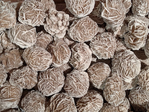 LARGE Desert Rose Stone, 1.5" - 2" Selenite Buds, Desert Rose Crystal, Selenite Crystal, Bulk Crystals, Wholesale Crystals, Bulk Selenite