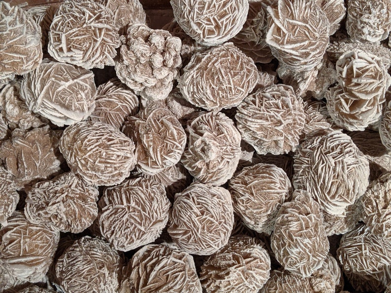 May include: A close-up of a group of rose quartz crystals, also known as desert roses. The crystals are a light brown color and have a rough, textured surface. They are arranged in a random pattern.