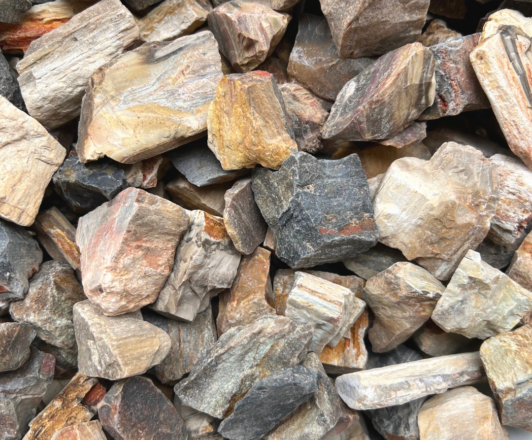 Petrified Woodrough Fossils for Tumblingrawbulk Wholesale Rough