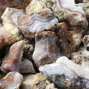 Könnte beinhalten: Eine Ansammlung roher Achatsteine mit durchscheinenden weißen und hellvioletten Bänderungen. Die Steine haben raue, erdige, braune und graue Außenkrusten mit freiliegenden kristallinen Innenbereichen und deutlichen Mineralstrukturen.