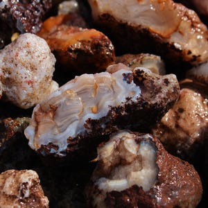 Calandria Agate Nodules | Lapidary, Slabbing and Cutting Rough Rock from Mexico | Banded Agate for Craft and Lapidary|Wholesale Bulk Crystal
