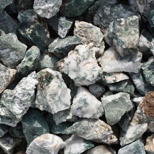 Tree Agate I Rough Rocks for Tumbling I Size: 1" - 2" I 1 LB Bulk Raw Crystal I Wholesale Healing Crystals I Lapidary Supply