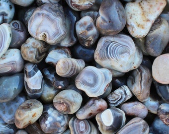 Può includere: Una collezione di pietre di agata con vari motivi e colori, tra cui bianco, grigio e marrone. Le pietre sono lisce e levigate, con un aspetto naturale e organico.