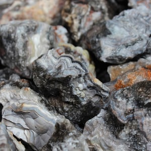 May include: A close-up of a collection of raw agate stones. The stones display a variety of colors, including gray, white, and brown, with intricate banding patterns. The rough texture and natural formations are visible.