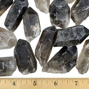 May include: A collection of smoky quartz crystal points in various sizes and shades of gray and brown. The crystals are arranged on a white surface, with a ruler providing scale. The crystals range from approximately 3 to 8 inches in length.