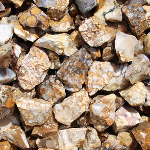 Cobra Jasper | Tumbling Rough Rocks from India | Raw Crystals for Tumbling, Crafts and Lapidary | King Cobra Wholesale Bulk Crystal