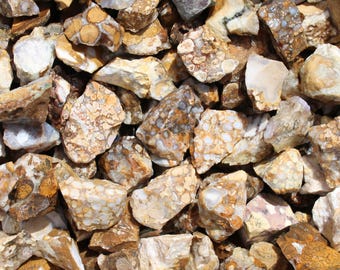 Jaspe Cobra / Tamaño de 0,75" a 1,5" / Rocas en bruto para pulir / Cristales en bruto para pulir, artesanías y lapidaria / Cristal de cobra real al por mayor