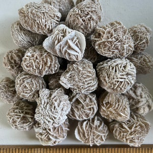 Pu&ograve; includere: Un mucchio di oltre 20 cristalli di rosa del deserto di colore beige e bianco, alcuni con forma di rosetta, su una superficie bianca con un righello di legno graduato in pollici.