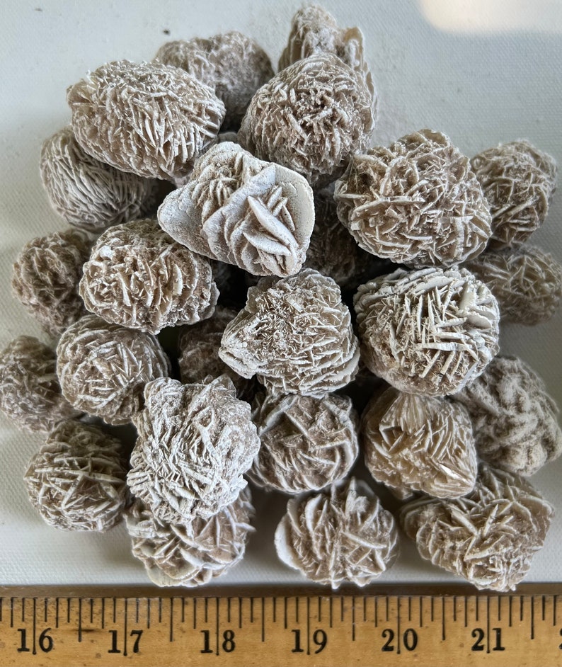 Pu&ograve; includere: Un mucchio di oltre 20 cristalli di rosa del deserto di colore beige e bianco, alcuni con forma di rosetta, su una superficie bianca con un righello di legno graduato in pollici.